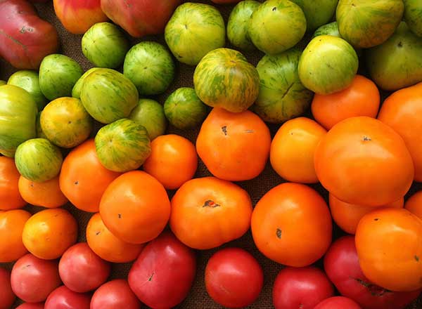 tomatoesnew