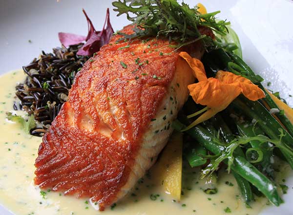 salmon